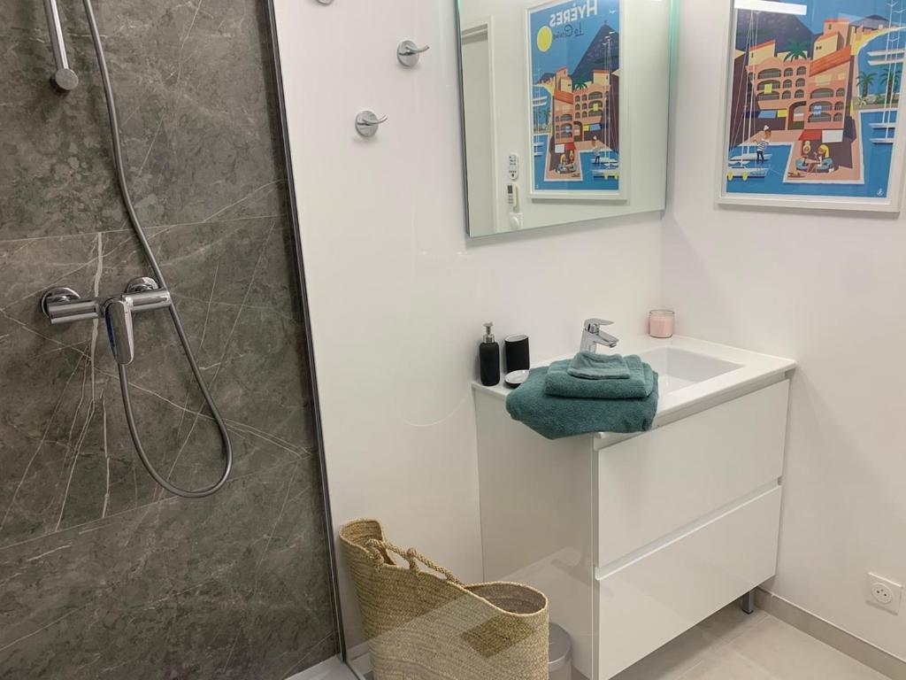 Ferienwohnung Vue Sur Les Iles D'Or Hyères Exterior foto